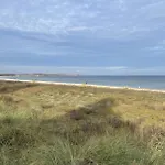 Strandflieder 208 *